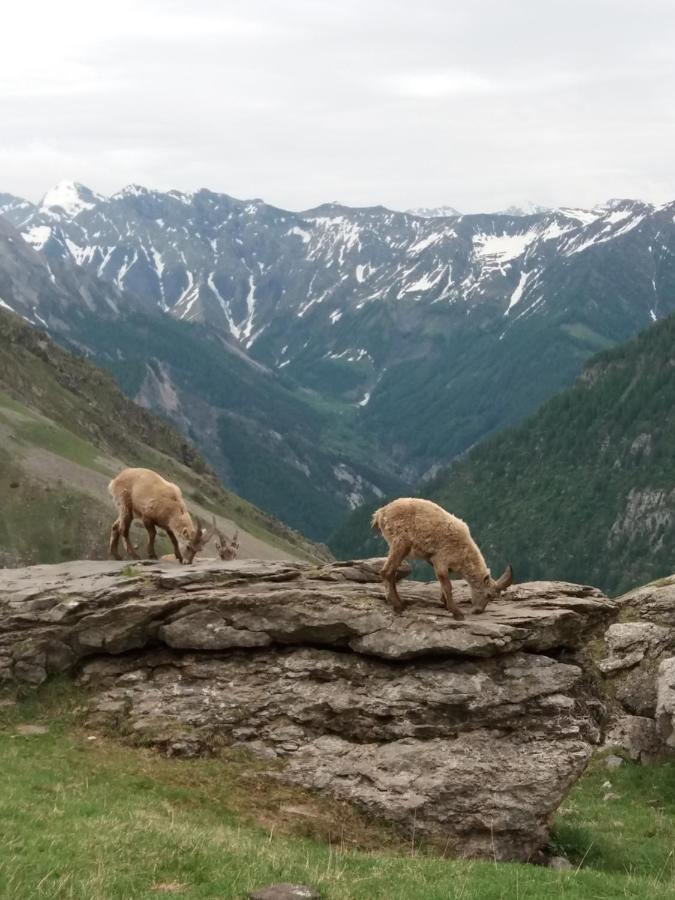 Vacances A La Montagne Saint-Julien-en-Champsaur エクステリア 写真